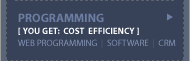 Programming - Web Programming, Software, CRM