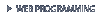 Web Programming